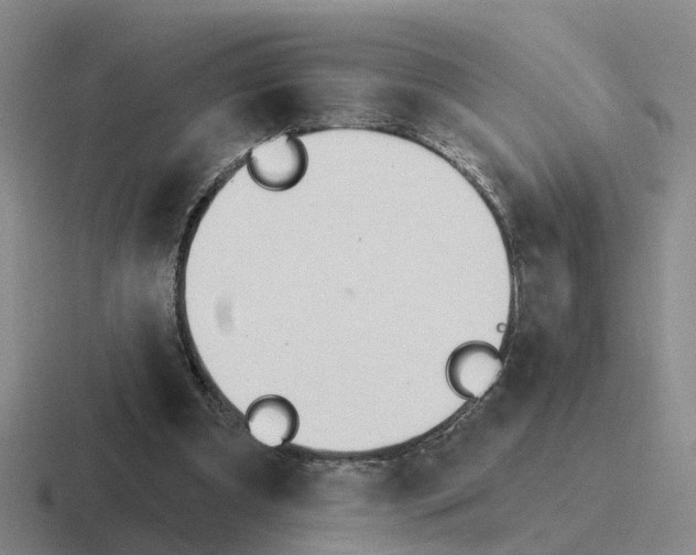 X0000116650297201001041055