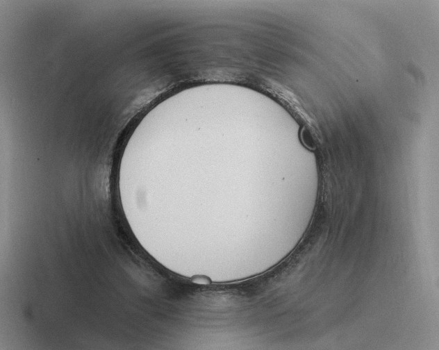 X0000116650299201001041055