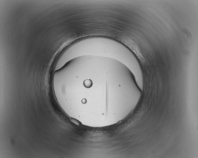 X0000116650300201001041055