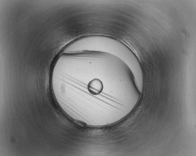 X0000116650301201001041055