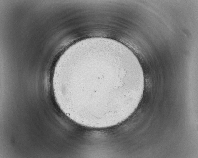 X0000116650302201001041055