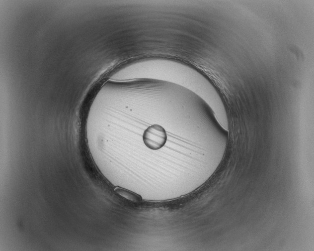 X0000116650304201001041055