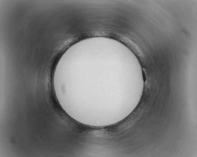 X0000116650306201001041055