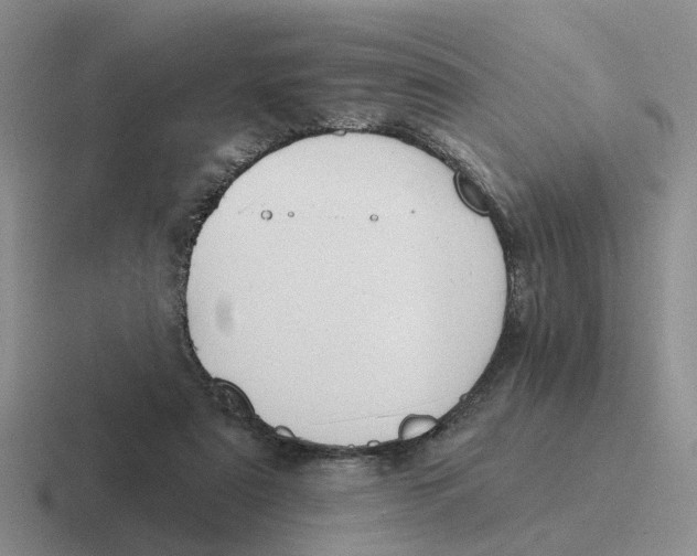 X0000116650307201001041055