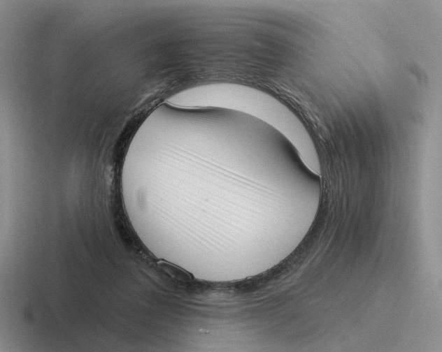 X0000116650308201001041055