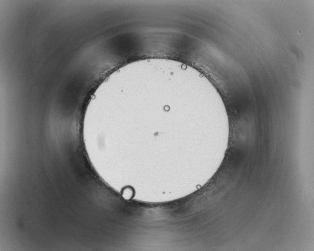 X0000116650309201001041055