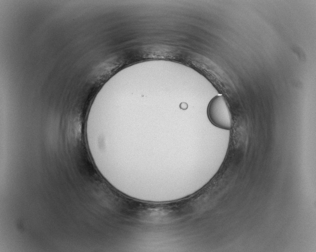 X0000116650310201001041055