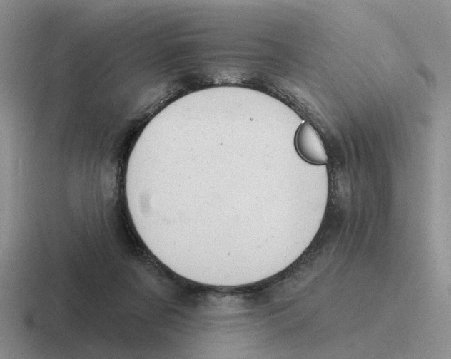 X0000116650311201001041055