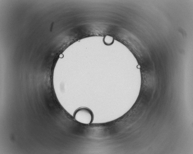 X0000116650313201001041055