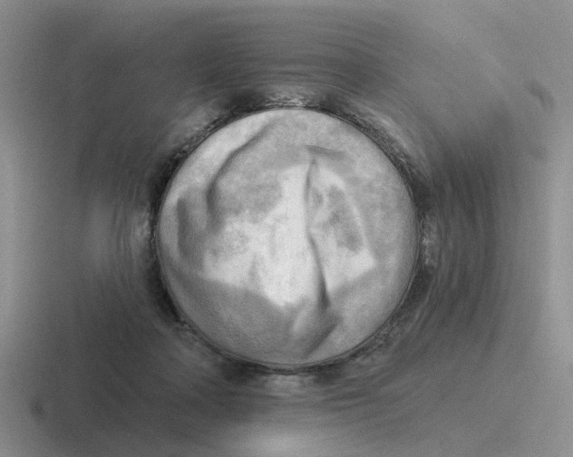 X0000116650314201001041055