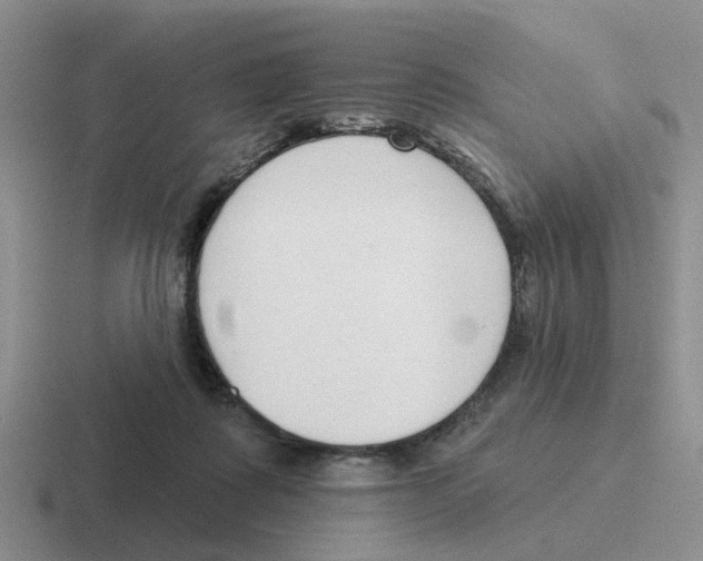 X0000116650315201001041055