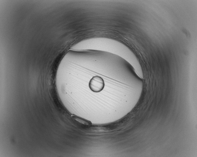 X0000116650316201001041055