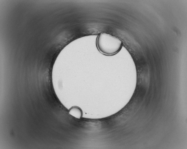 X0000116650317201001041055