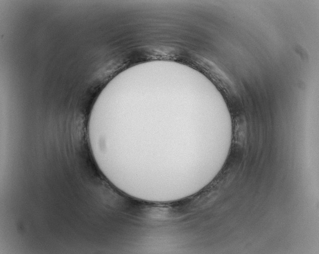 X0000116650318201001041055