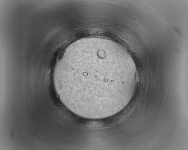 X0000116650319201001041055