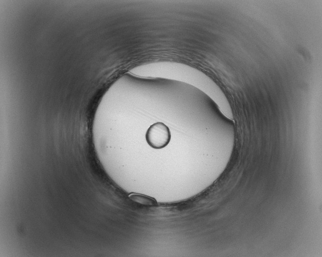 X0000116650320201001041055