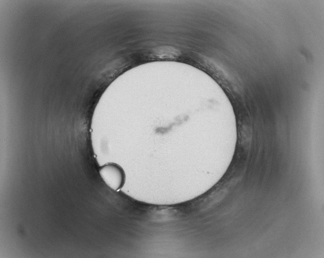 X0000116650321201001041055