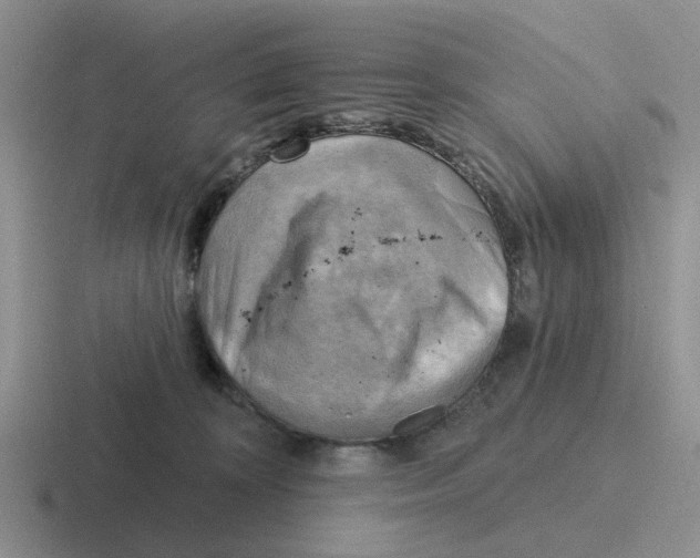 X0000116650324201001041055