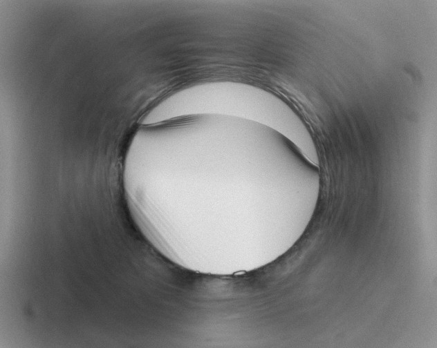 X0000116650325201001041055