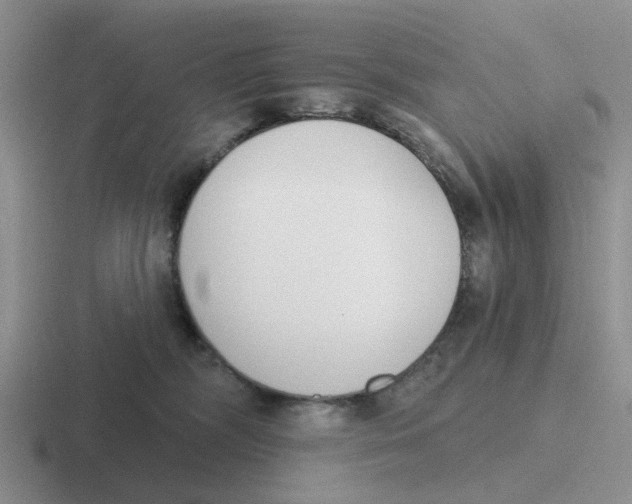 X0000116650326201001041055