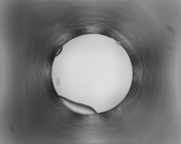 X0000116650329201001041055