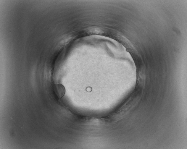 X0000116650330201001041055