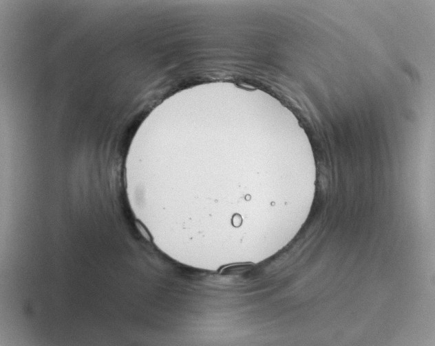 X0000116650332201001041055