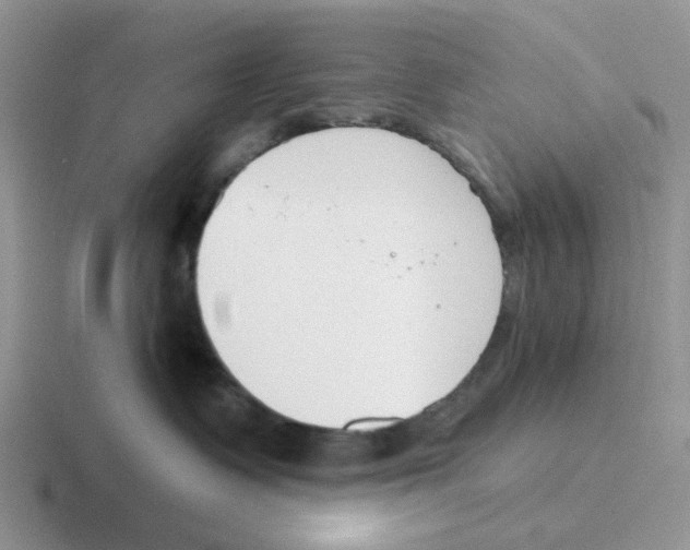 X0000116650335201001041055