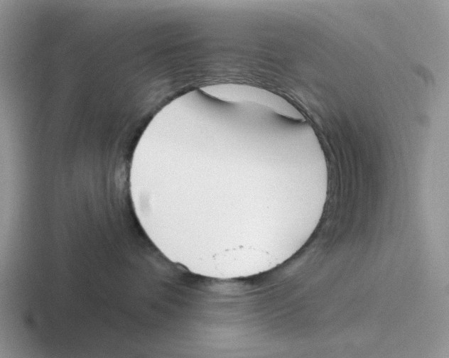 X0000116650336201001041055