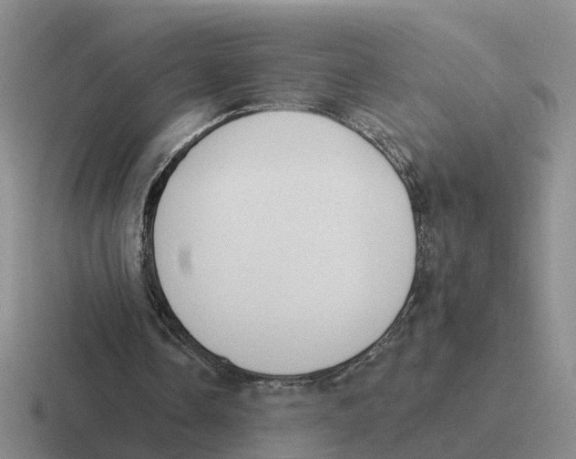 X0000116650338201001041054