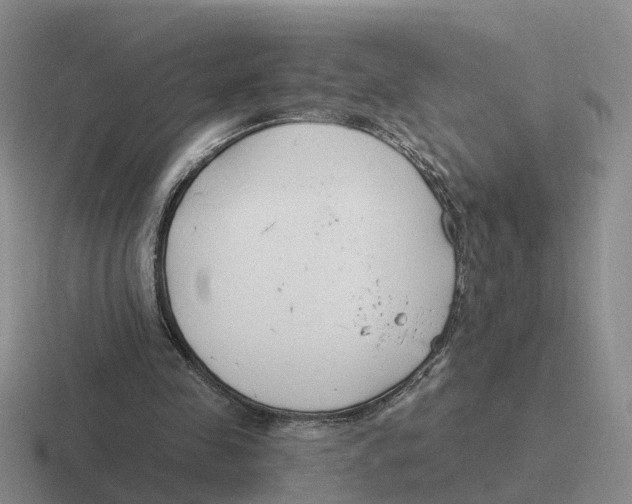 X0000116650341201001041054