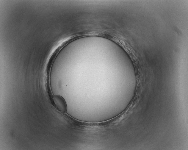 X0000116650342201001041054