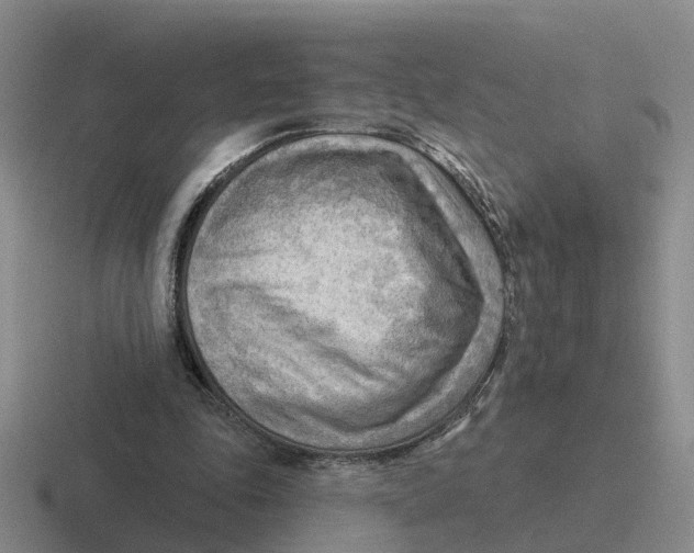 X0000116650343201001041054