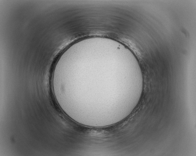 X0000116650346201001041054