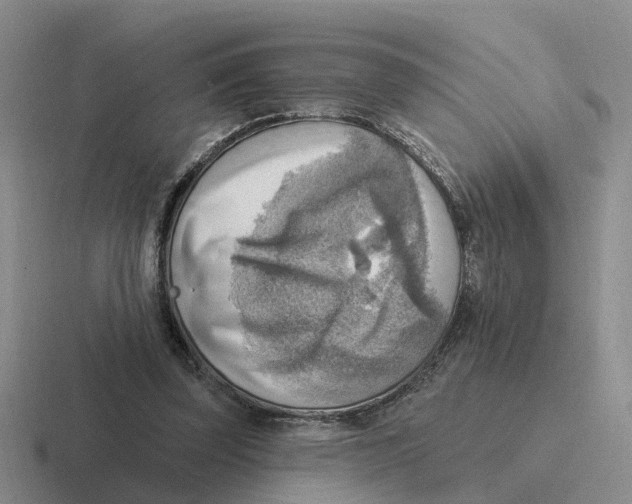 X0000116650347201001041054