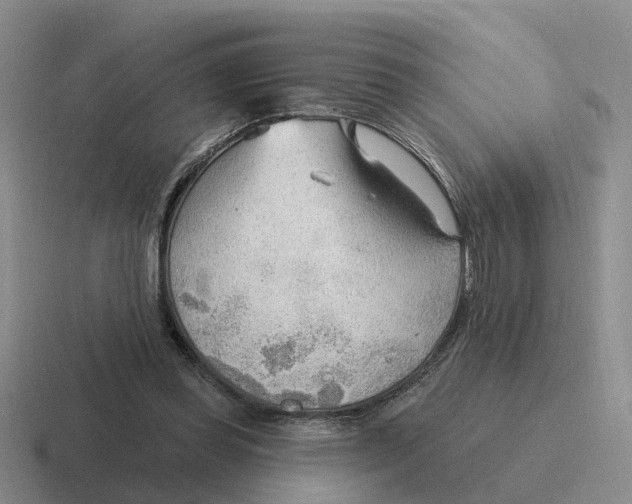 X0000116650349201001041054