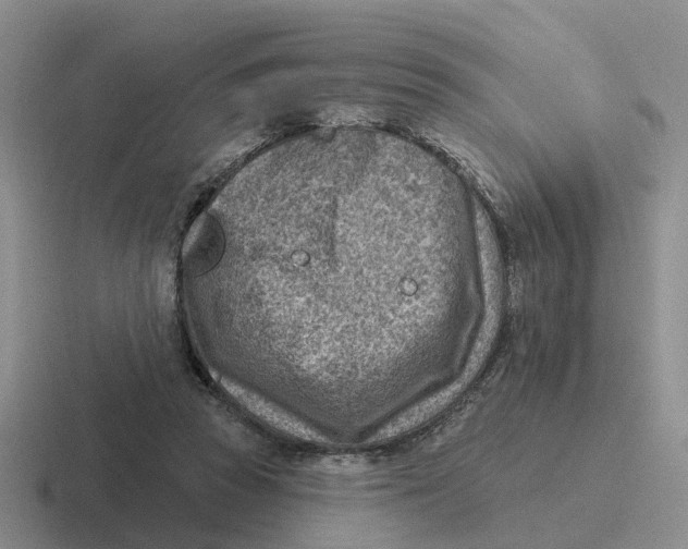 X0000116650353201001041055