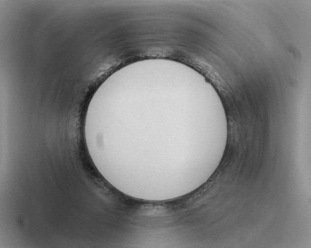 X0000116650354201001041055