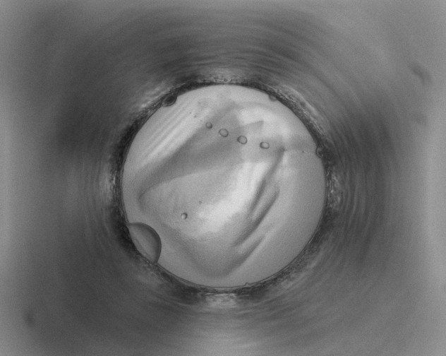 X0000116650355201001041055