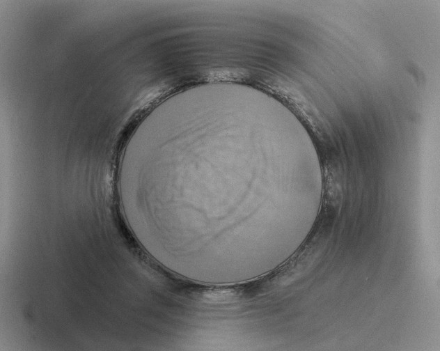 X0000116650357201001041055