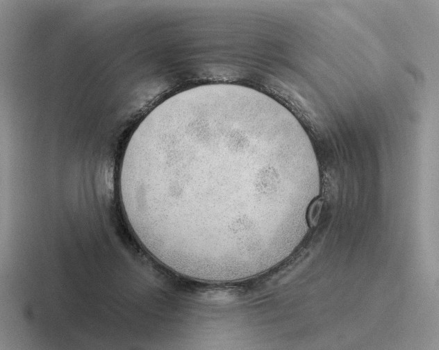 X0000116650358201001041055