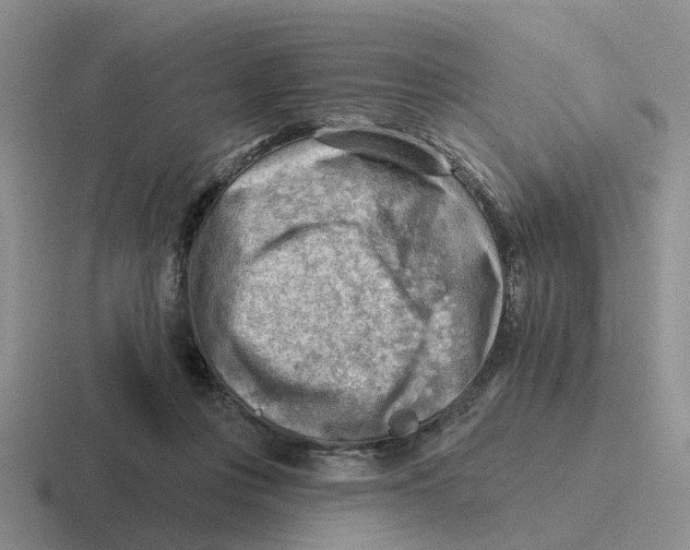 X0000116650359201001041055