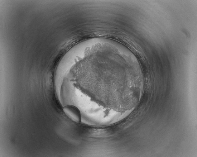 X0000116650361201001041055