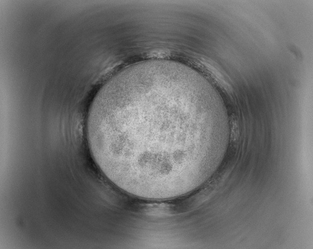 X0000116650363201001041055