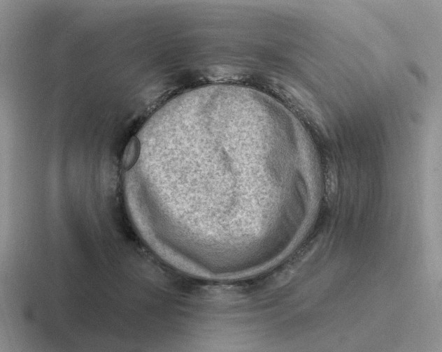 X0000116650367201001041055