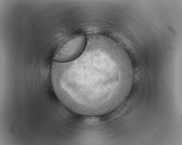 X0000116650369201001041055