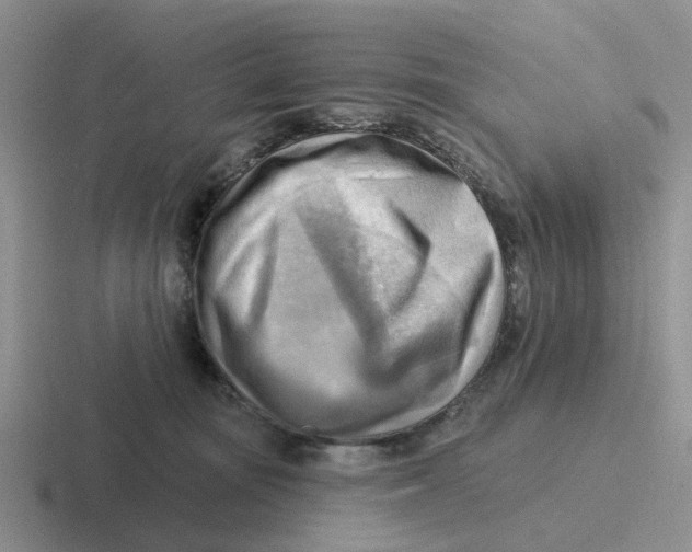 X0000116650371201001041055