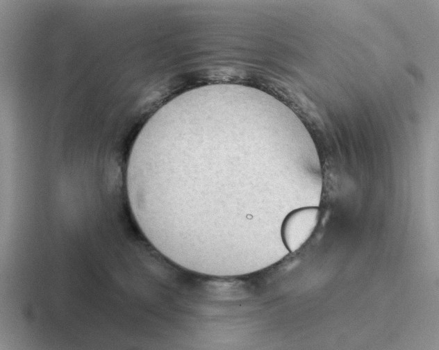 X0000116650375201001041055