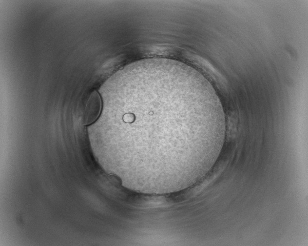 X0000116650377201001041055