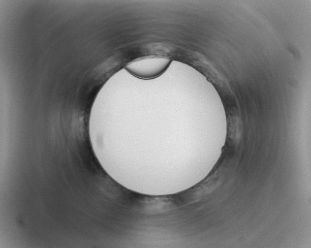 X0000116650378201001041055